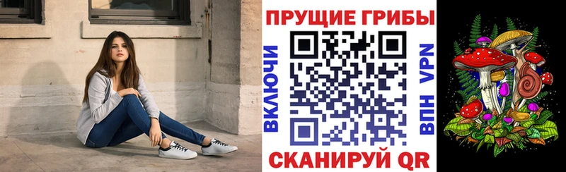 Псилоцибиновые грибы мухоморы Купить Можайск