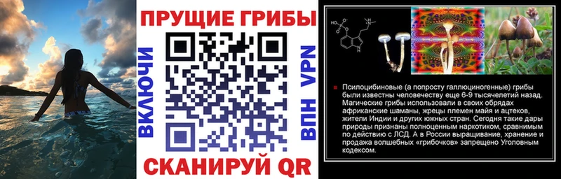 Галлюциногенные грибы Cubensis Можайск